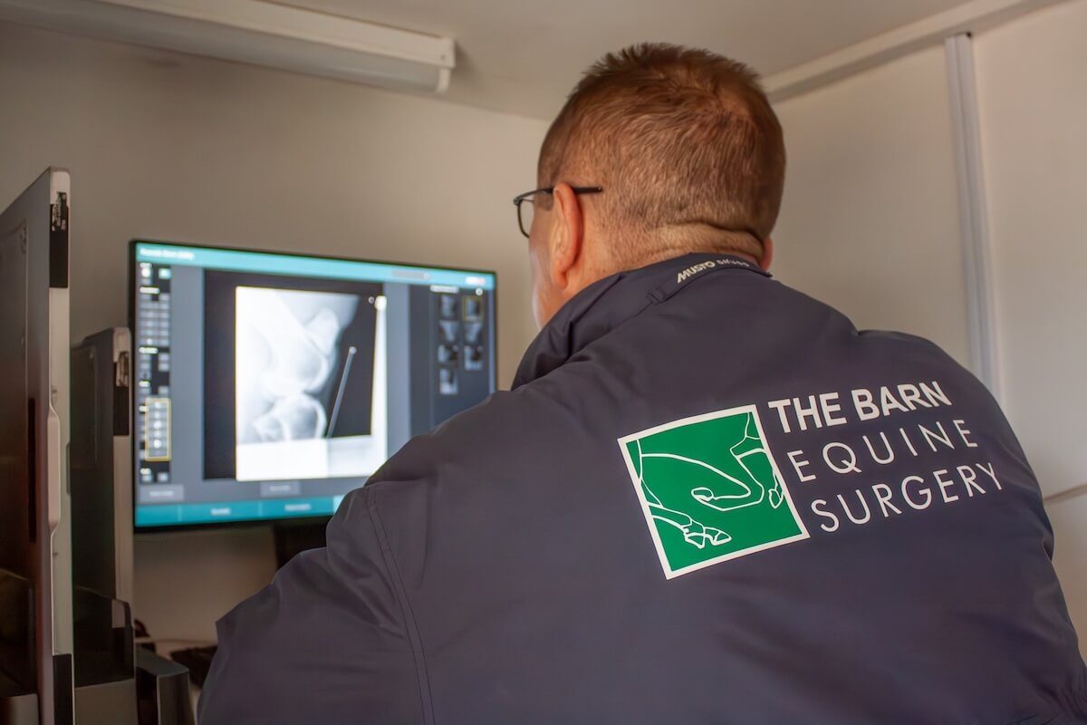 Nenad reading XRay